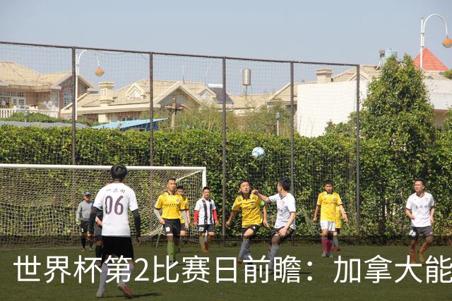 世界杯第2比赛日前瞻：加拿大能否破“0胜”，美国要啃“硬骨头”